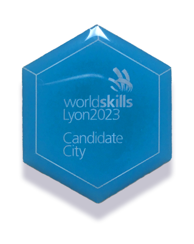 pins worldskillls